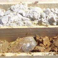 (2L) Sandstone core converting into Limestone.jpg